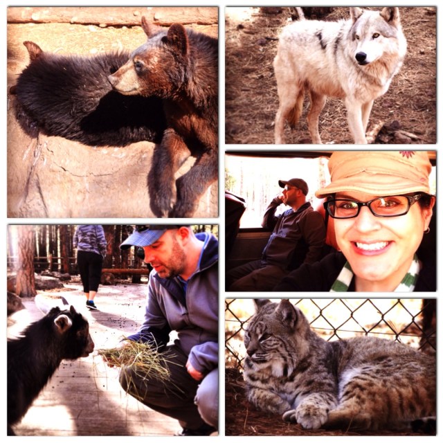 Just a few pictures of Bearizona...if you request them, I can send you about 200 more.  Lemme know.